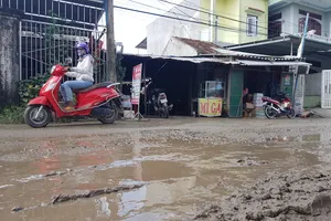 'Nhà thầu Trung Quốc thất hứa nhiều lần, không tin được'