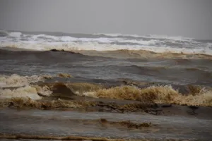 Kết luận vụ nước biển chuyển màu bất thường làm dân lo lắng