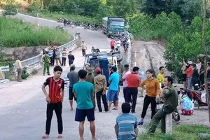 Xe tải mất thắng khi đổ dốc, 2 người tử vong