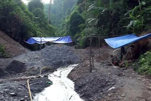 Bắt nhóm người bắt giữ phu vàng trái phép