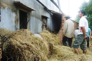 1 phụ nữ tử vong sau khi tham gia đốt rơm