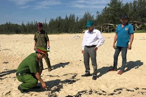 Chất màu đen trôi dạt vào bờ biển Quảng Ngãi