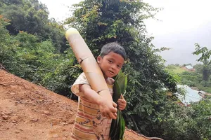  4.300 học sinh được lì xì nhờ tấm lòng một thầy giáo