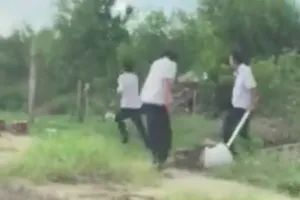 Taxi Mai Linh nói về clip tài xế của hãng bị đánh 