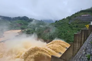 Quảng Nam thu hồi quyết định cho thủy điện Đắk Di 2 thuê đất