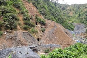 Quảng Nam lên kế hoạch đánh sập các hầm vàng để bảo vệ rừng