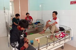 Ăn nấm lạ, 5 người bị ngộ độc nhập viện