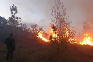  Rừng thông bốc cháy gần 1 ngày đêm ở Quảng Nam