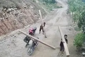 Khởi tố 2 người phá 1,5ha rừng tự nhiên ở Quảng Ngãi