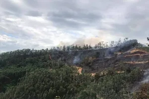 Tham gia chữa cháy rừng keo, 1 người đàn ông tử vong
