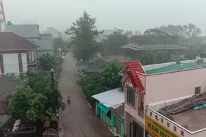 Quảng Ngãi cấm người dân 2 huyện ra đường từ 12 giờ 11-9