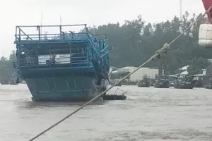 Quảng Ngãi: Ba người mất tích do lật thuyền giữa dòng nước chảy xiết