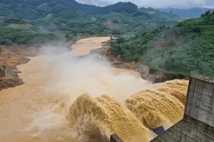 Quảng Nam thu hồi chủ trương đầu tư dự án thủy điện Đăk Pring 2