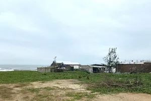 Cựu giám đốc và cựu chủ tịch phường lãnh án vì 'dính' đất