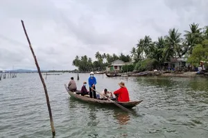 Ốc đảo người già mong muốn vào bờ