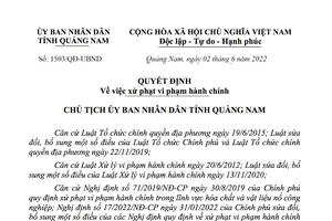 Quảng Nam phạt 250 triệu đồng đối với 2 doanh nghiệp vi phạm