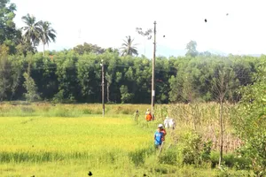 Thi thể bị bỏng ngoài cánh đồng, nghi rơi từ trụ điện 