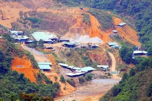 Mắc nhiều vi phạm, 2 bãi vàng ở Quảng Nam bị yêu cầu tạm dừng khai thác 