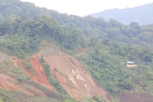 Bộ NN&PTNT 'tuýt còi' tuyến đường lên vùng Sâm Ngọc Linh của Quảng Nam