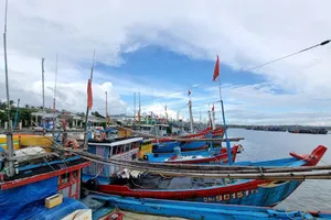 Bão Noru: Quảng Nam còn 19 tàu đang hoạt động ở vùng nguy hiểm 