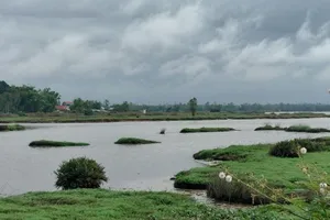 Cứu bạn, 1 thiếu niên ở Quảng Nam bị đuối nước tử vong