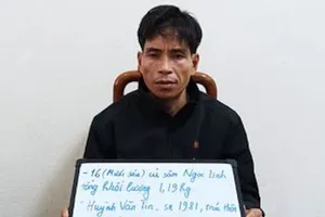 Từ việc rao bán Sâm Ngọc Linh trên mạng, phát hiện nghi can trộm 16 củ sâm 