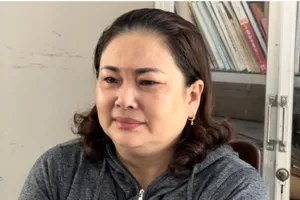 Lừa mua đất thi hành án để chiếm đoạt tiền tỉ