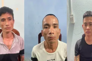 Nhóm người mang 8 tiền án thuê ô tô đi trộm