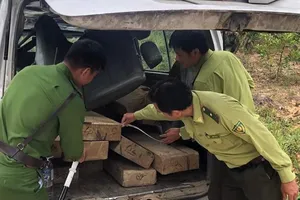 Quảng Ngãi: Phát hiện nhiều ô tô vô chủ chở gỗ lậu
