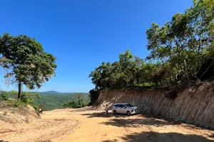 Chủ tịch Quảng Ngãi yêu cầu làm rõ vụ phá rừng tự nhiên để mở đường