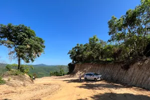 Kiểm lâm củng cố hồ sơ khởi tố vụ phá rừng ở Quảng Ngãi 