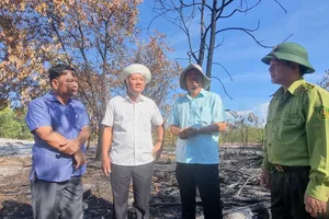 Vụ đốt rừng phòng hộ để diễn tập chữa cháy ở Quảng Nam: Có sai sót