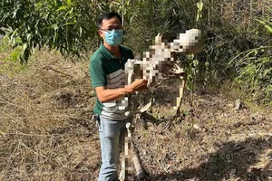 Công an công bố sự thật về 'bộ xương người' trong rừng ở Quảng Nam