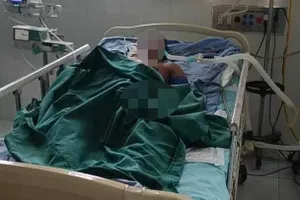 Đi lấy nhộng, 1 đàn ông ở Quảng Nam bị ong đốt nguy kịch