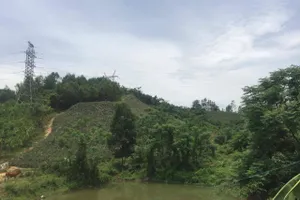 Người phụ nữ bị sét đánh tử vong. Ảnh minh hoạ.