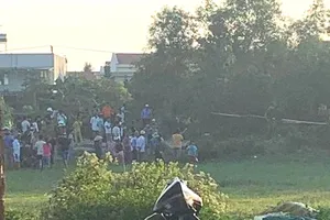 Người dân tá hoả phát hiện bộ xương người trong rừng keo. Ảnh: CTV