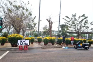 Ế ẩm chưa từng có, người bán hoa lo mất Tết