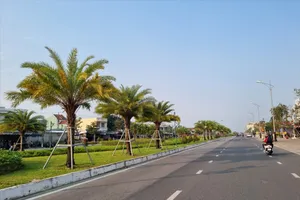 Bộ Công an yêu cầu Quảng Nam cung cấp thông tin các dự án trồng và chăm sóc cây xanh (ảnh minh hoạ). Ảnh: TN