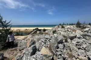 Công ty Lý Tuấn có dấu hiệu mua bán, sử dụng tài sản thuộc quyền quản lý của Nhà nước. Ảnh: TN