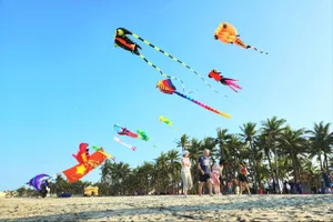 100 loại diều của 12 nước đến Quảng Nam tại lễ hội diều quốc tế. Ảnh: TN