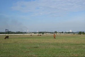 Quảng Ngãi vận động doanh nghiệp chấm dứt 41 dự án