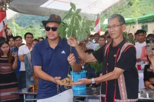 ‘Chuyên gia’ chỉ cách nhận dạng sâm Ngọc Linh. Ảnh: TN