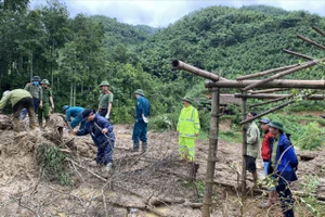 Quảng Nam hỗ trợ 22 tỉ đồng cho các tỉnh, thành phía Bắc. Ảnh: PLO