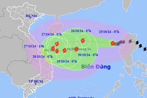 Quảng Nam cấm biển ứng phó bão Trà Mi