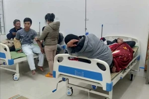 Ăn nấm rừng, 8 người bị ngộ độc 