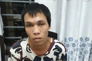 Hành vi tàn nhẫn của nghịch tử sát hại mẹ ruột