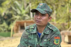 Chàng trai cơ tu trả nợ rừng xanh