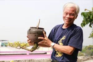 Dị nhân xứ Quảng làm bonsai ngược độc lạ, có 1-0-2