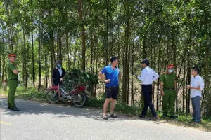 Lập biên bản người đàn ông Đà Nẵng chở lợn mắc bệnh đi tiêu thụ