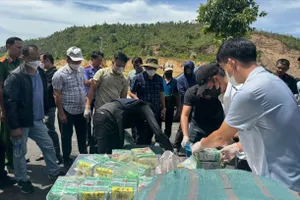 Đà Nẵng: Biên phòng bắt vụ vận chuyển gần 300kg ma tuý